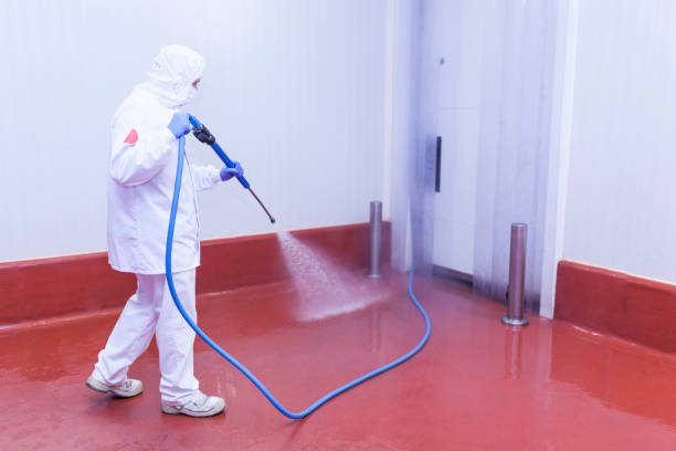 Best Rust Removal  in East Richmond Heights, CA